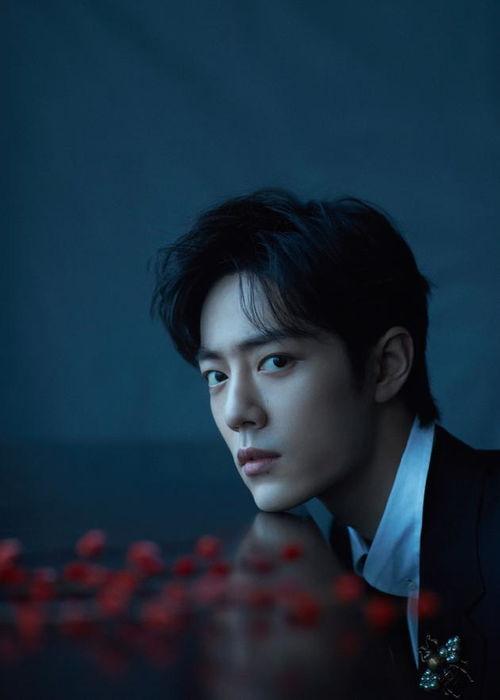 肖战同学吃黑瓜小说,一场奇幻冒险之旅