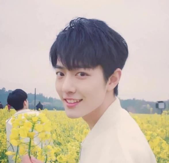 肖战同学吃黑瓜小说,一场奇幻冒险之旅