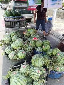 交城近期热门吃瓜事件,揭秘近期爆红网络事件背后的真相